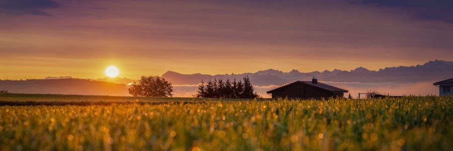 How to: Tips on Finding a Home in a Gated Community